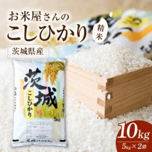 ふるさと納税 かすみがうら市 令和8年産 新米 お米屋さんのコシヒカリ 精米 10kg(5kg×2)