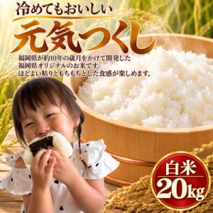ふるさと納税 柳川市 【令和8年産】元気つくし 白米 20kg