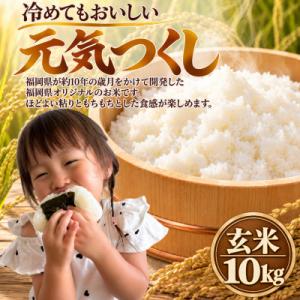 ふるさと納税 柳川市 【令和8年産】元気つくし 玄米 10kg