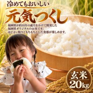 ふるさと納税 柳川市 【令和8年産】元気つくし 玄米 20kg
