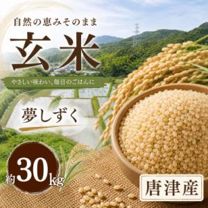 ふるさと納税 唐津市 佐賀県唐津市産 夢しずく(玄米) 30kg