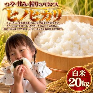 ふるさと納税 柳川市 【令和8年産】ヒノヒカリ 白米 20kg