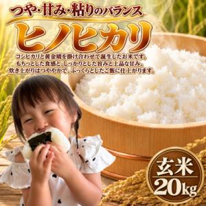 ふるさと納税 柳川市 【令和8年産】ヒノヒカリ 玄米 20kg