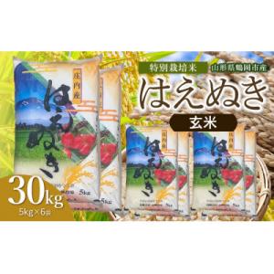 ふるさと納税 鶴岡市 【令和8年産】斎藤農場の特別栽培米はえぬき玄米30kg(5kg×6) [K-8204]