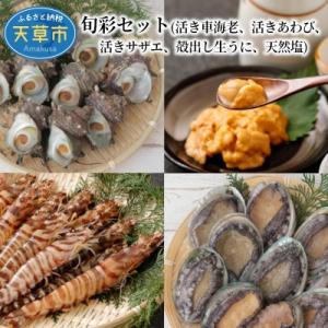 ふるさと納税 天草市 【指定日必須】旬彩セット(活車海老 活きあわび 活きサザエ 殻出し生うに 天然...