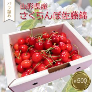 ふるさと納税 長井市 【2027年発送】「秀品」さくらんぼ佐藤錦500g(L玉・化粧箱・バラ詰)_H...