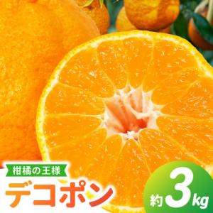 ふるさと納税 天草市 天草産 デコポン 3kg〈先行受付〉_S053-002B