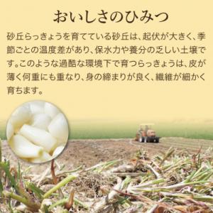 ふるさと納税 鳥取市 特別栽培らっきょうの甘酢...の詳細画像1