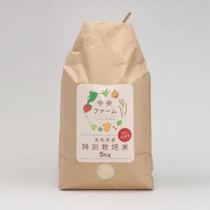 ふるさと納税 鳥取市 鳥取県産特別栽培米こしひかり(5kg)