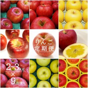 ふるさと納税 長井市 【2026年発送】【定期便9回】「秀品」りんご2〜3kg×9種_H151(R8)