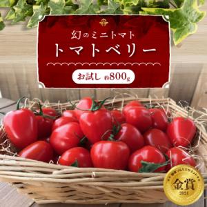 ふるさと納税 碧南市 【事前受付】甘さ抜群!で大人気　ミニトマト　トマトベリー　約800g　H004...