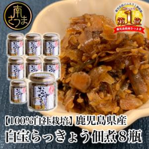 ふるさと納税 南さつま市 【鹿児島県産】白宝らっきょう佃煮 8個