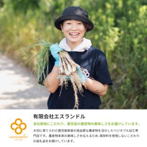 ふるさと納税 南さつま市 【鹿児島県産】白宝ら...の詳細画像3