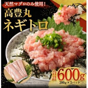 ふるさと納税 室戸市 ネギトロ 600g 天然 マグロ 使用