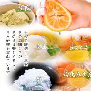 ふるさと納税 いの町 高知アイスのアイスクリームの詳細画像3