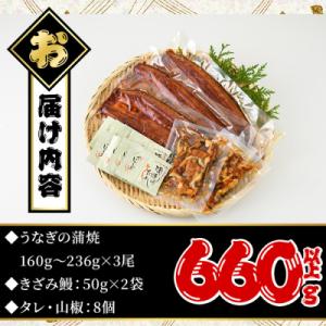 ふるさと納税 曽於市 鹿児島県産うなぎ蒲焼きざ...の詳細画像1