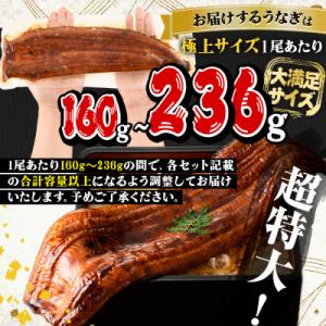 ふるさと納税 曽於市 鹿児島県産うなぎ蒲焼きざ...の詳細画像2