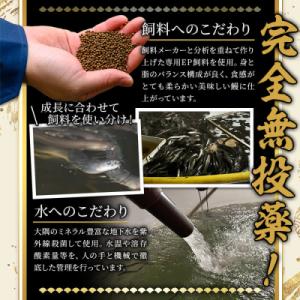 ふるさと納税 曽於市 無投薬!鹿児島県産うなぎ...の詳細画像2