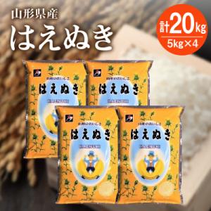 ふるさと納税 上山市 【R8年10月~発送】令和8年産 はえぬき20kg(5kg×4袋)　0059-2614
