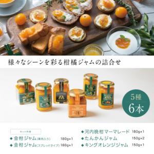 ふるさと納税 南さつま市 【産品コンクール金賞...の詳細画像3
