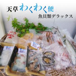 ふるさと納税 天草市 天草わくわく便 魚貝類デラックス(活きあわび、車海老パックなど)_S059-0...