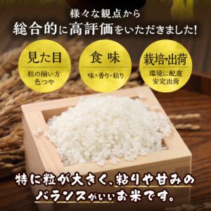 ふるさと納税 当別町 【令和7年産】特Aランク...の詳細画像2
