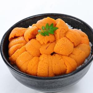 ふるさと納税 根室市 エゾバフンウニ塩水パック80〜90g×2P[10月下旬以降発送] B-...