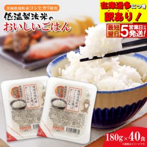 ふるさと納税 境町 ◎最短翌日発送◎ 訳あり!! 茨城県境町産 コシヒカリ使用 おいしいごはん 40食 パックごはん