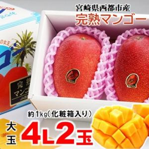 ふるさと納税 西都市 【大玉4L×2玉】約1kg...の商品画像