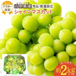 ふるさと納税 長井市 【期間限定・2026年発送】山形のぶどう(シャインマスカット)約2kg(2〜5房)_H063(R8)