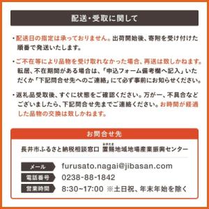 ふるさと納税 長井市 【期間限定・2026年発...の詳細画像3
