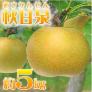 ふるさと納税 米子市 鳥取県産梨「秋甘泉(あきかんせん)」(5kg)