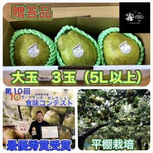 ふるさと納税 上山市 西洋梨(ラ・フランス)大玉3玉　贈答品　0102-2603