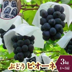 ふるさと納税 上山市 ぶどう(ピオーネ)3kg　0009-2604