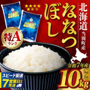 ふるさと納税 当別町 【令和7年度産】当別産米ななつぼし10kg_tb13-002-fes