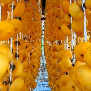 ふるさと納税 上山市 干し柿(蔵王つるし)32...の詳細画像3