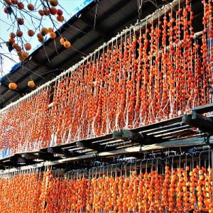 ふるさと納税 上山市 紅干し柿たばね柿 32玉...の詳細画像2