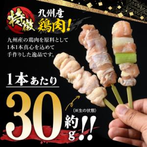 ふるさと納税 いちき串木野市 <生冷凍&...の詳細画像1