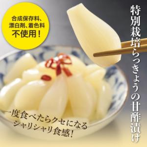 ふるさと納税 鳥取市 特別栽培らっきょうの甘酢漬(5袋セット)