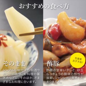 ふるさと納税 鳥取市 特別栽培らっきょうの甘酢...の詳細画像2