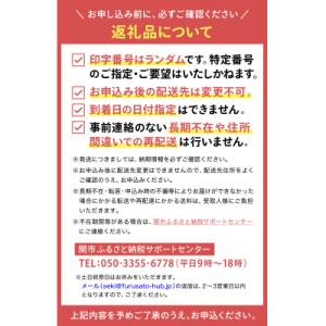 ふるさと納税 関市 1ダース TOUR B X...の詳細画像1