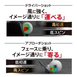 ふるさと納税 関市 1ダース TOUR B X...の詳細画像2
