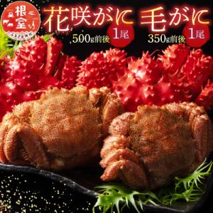 ふるさと納税 根室市 花咲がに1尾、毛がに1尾セット A-54004