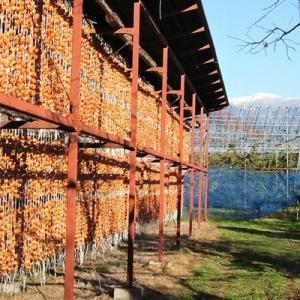 ふるさと納税 上山市 干し柿(たねなしつるし)...の詳細画像2