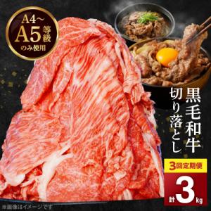 ふるさと納税 天草市 【定期便3回】A4〜A5等級 黒毛和牛切り落とし1kg(500g×2P)_S0...