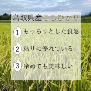 ふるさと納税 米子市 令和7年産 大山しらゆき...の詳細画像1