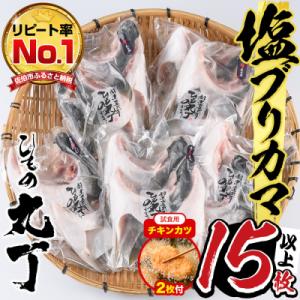 ふるさと納税 佐伯市 【試食用チキンカツ付】ひもの丸丁の塩ブリカマ(3〜4枚入り)×5パック