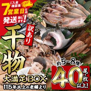 ふるさと納税 佐伯市 &lt;訳あり&gt; 干物大満足BOX (40尾以上・5-8種)