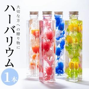 ふるさと納税 佐伯市 ハーバリウム (高さ21.5cm×横幅約4cm・四角瓶)