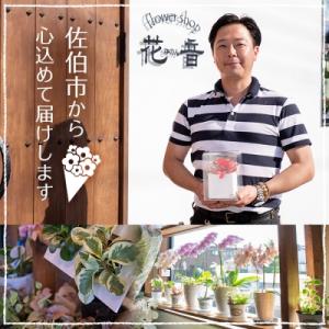 ふるさと納税 佐伯市 ハーバリウム (高さ21...の詳細画像3